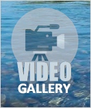 bc steelhead fishing video gallery